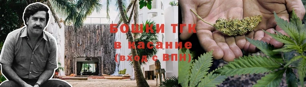 не бодяженный Арсеньев